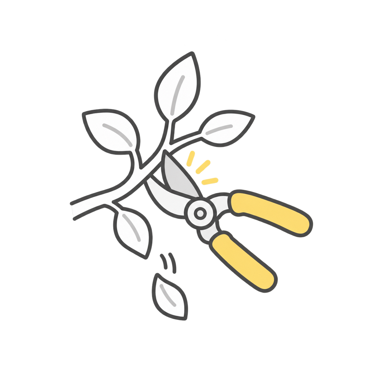 簡易な剪定のイラスト